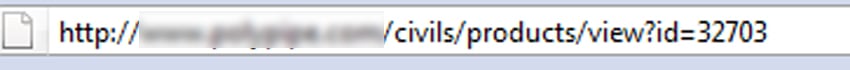 dynamic_urls